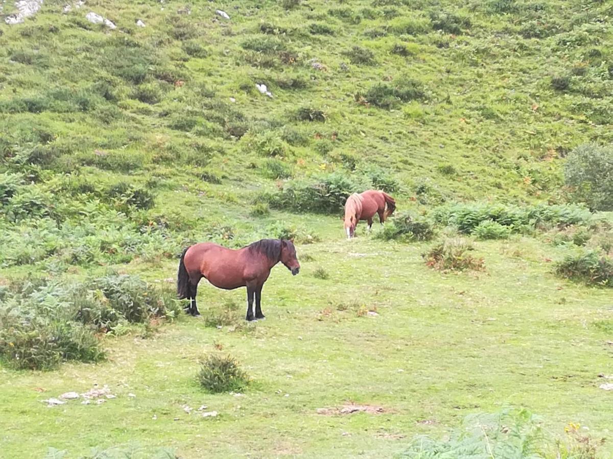 La Pasiega San Roque de Ríomiera Kültér fotó